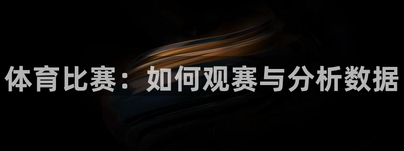 体育比赛：如何观赛与分析数据