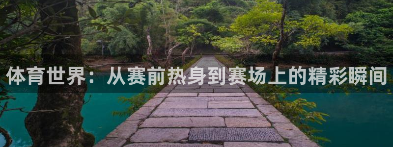 体育世界：从赛前热身到赛场上的精彩瞬间