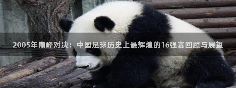 2005年巅峰对决：中国足球历史上最辉煌的16强赛回顾与展望