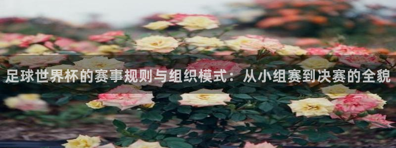 足球世界杯的赛事规则与组织模式：从小组赛到决赛的全貌