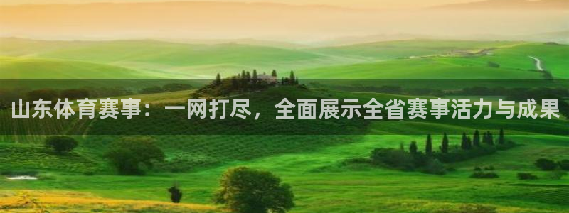 山东体育赛事：一网打尽，全面展示全省赛事活力与成果