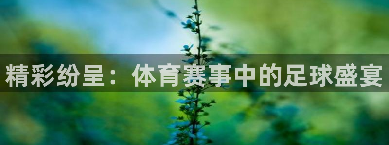精彩纷呈：体育赛事中的足球盛宴