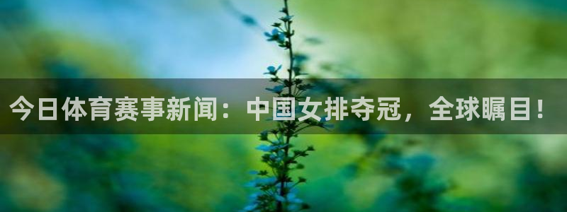 今日体育赛事新闻：中国女排夺冠，全球瞩目！