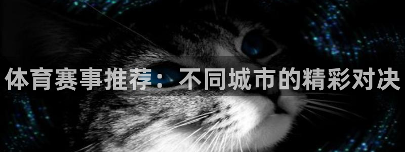 体育赛事推荐：不同城市的精彩对决