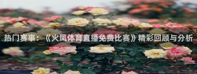 热门赛事：《火凤体育直播免费比赛》精彩回顾与分析
