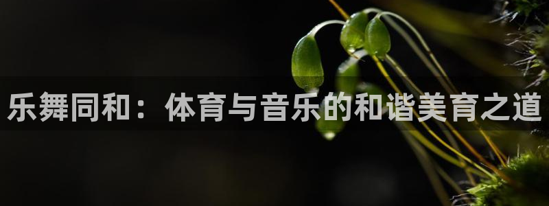 乐舞同和：体育与音乐的和谐美育之道